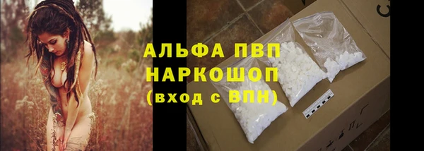 гашик Баксан
